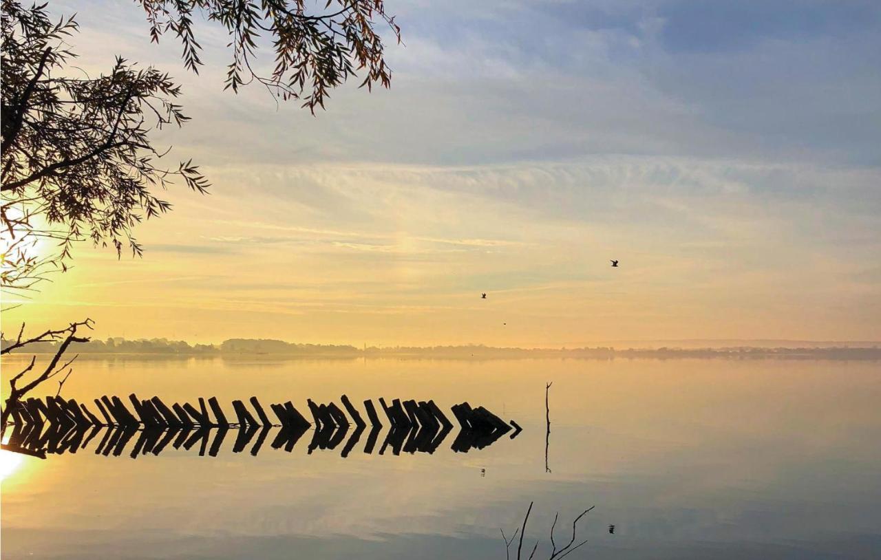 Lovely Home In Lembruch-Duemmer See With Wifi ภายนอก รูปภาพ